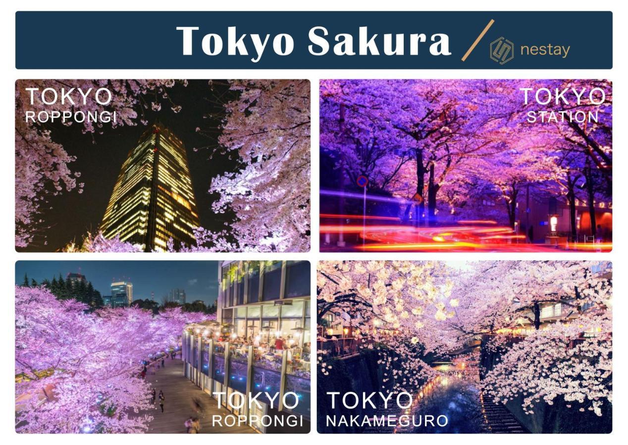 Nestay Inn Tokyo Otsuka 403 Zewnętrze zdjęcie